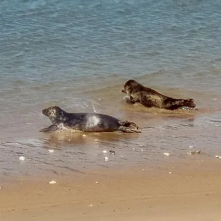 Appartamento Park Fenomenaal App Met Zwembad En Gym! *